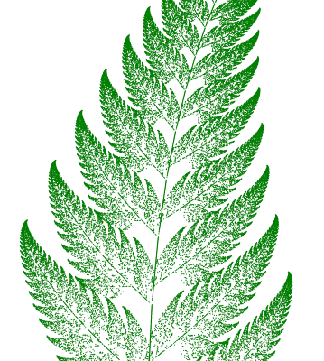 The Barnsley fern